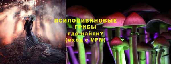 марки lsd Белокуриха